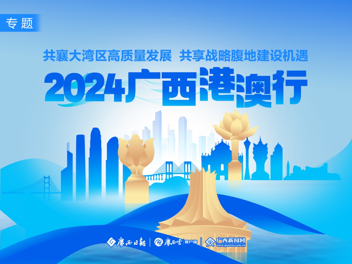 新澳2025年精准正版资料与富强的解析落实